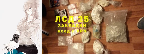 СК Кукмор