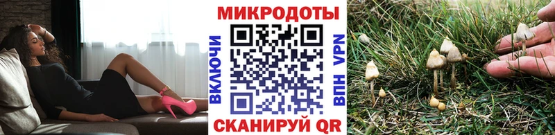 Галлюциногенные грибы MAGIC MUSHROOMS  Купить где  Тольятти 